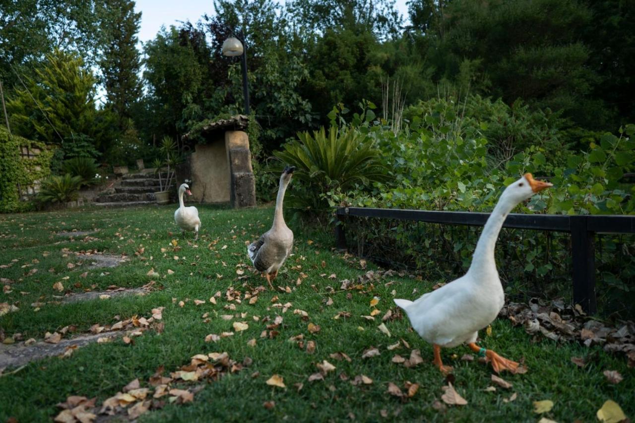 Villa Pastorelli Pergusa Esterno foto